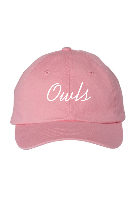 Owls Embroidered Youth Hat