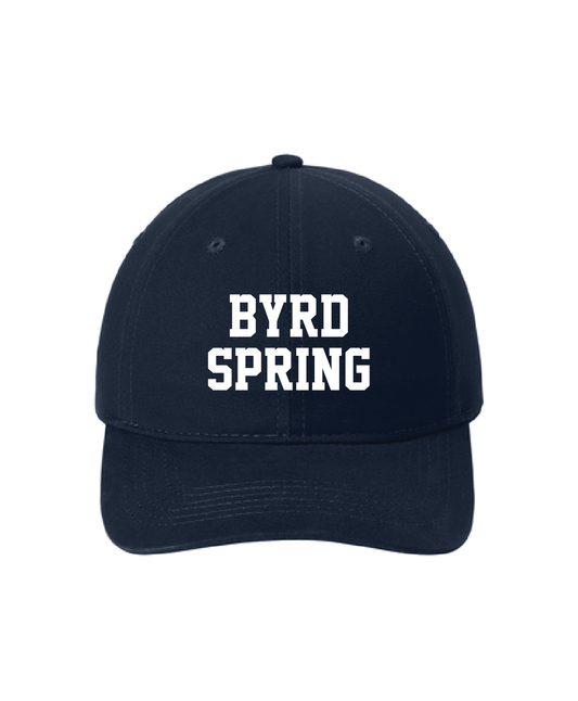 Navy Embroidered Cap