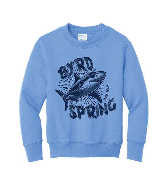 YOUTH Carolina Blue Crewneck