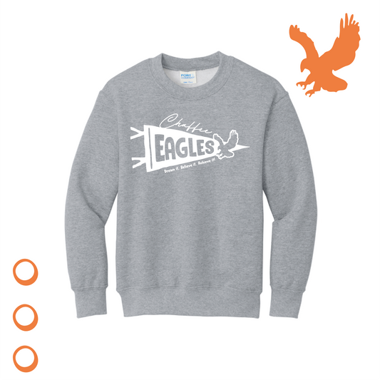 YOUTH Flag Gray Crewneck
